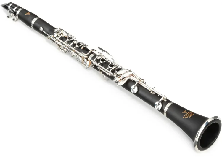 Students will learn proper clarinet posture, hand position, embouchure, and breath support to establish strong fundamental skills in order to eventually express yourself musically and choose the songs you want to play and not be limited to what you can or cannot play. Lessons are individualized to help each student achieve their personal musical goals while fostering technical proficiency and creativity. 