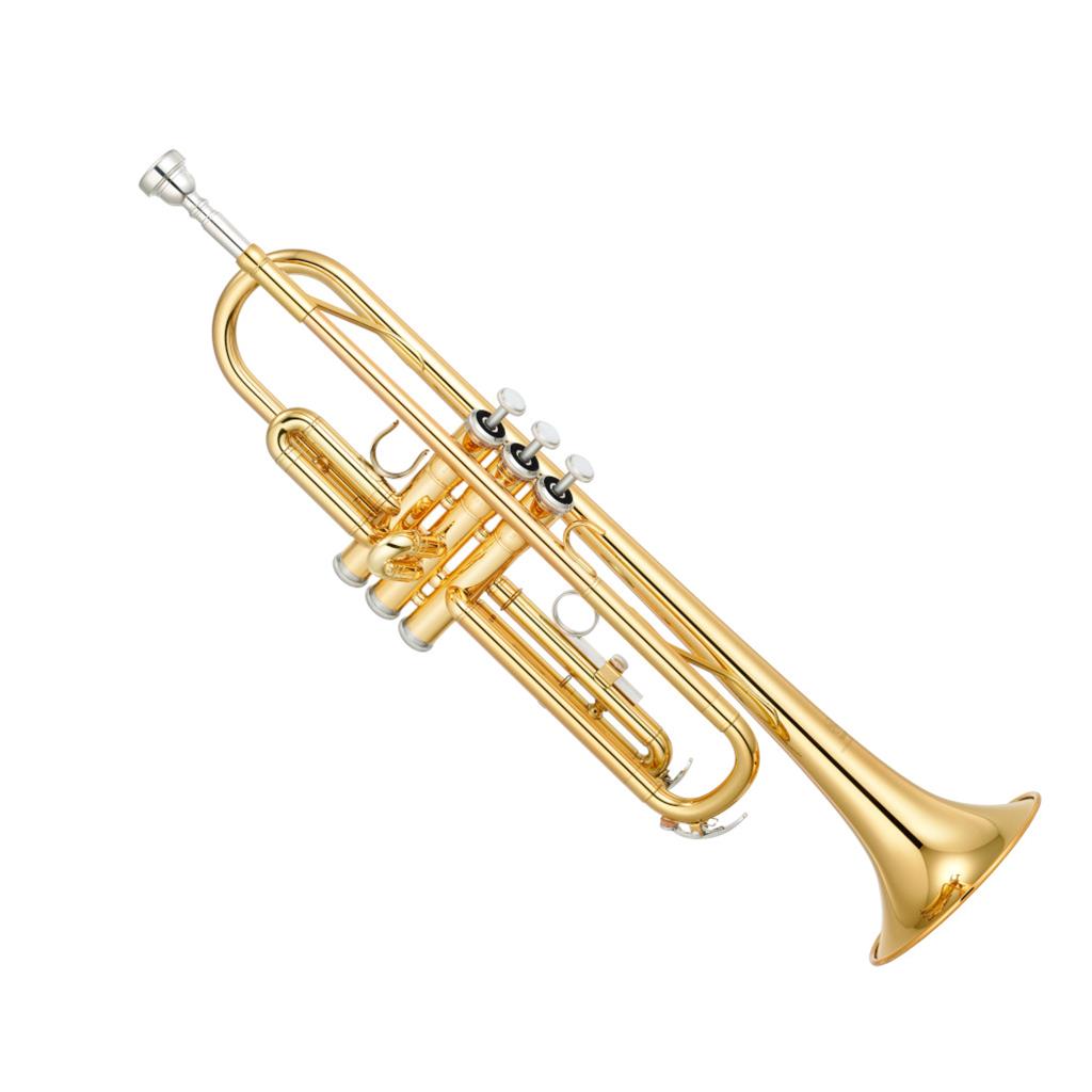 Through focused instruction in proper trumpet posture, hand placement, embouchure formation, and breath control, students build a strong technical foundation. Lessons are shaped around each student's personal goals and interests, nurturing creativity and musical expression while supporting steady progress toward the musical aspirations they care about most.